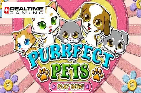 Purrfect Pets